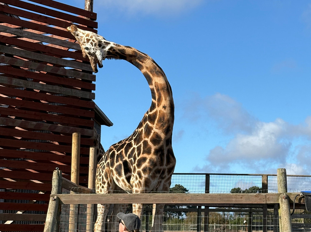 B Bryan Preserve-Point Arena必去景点