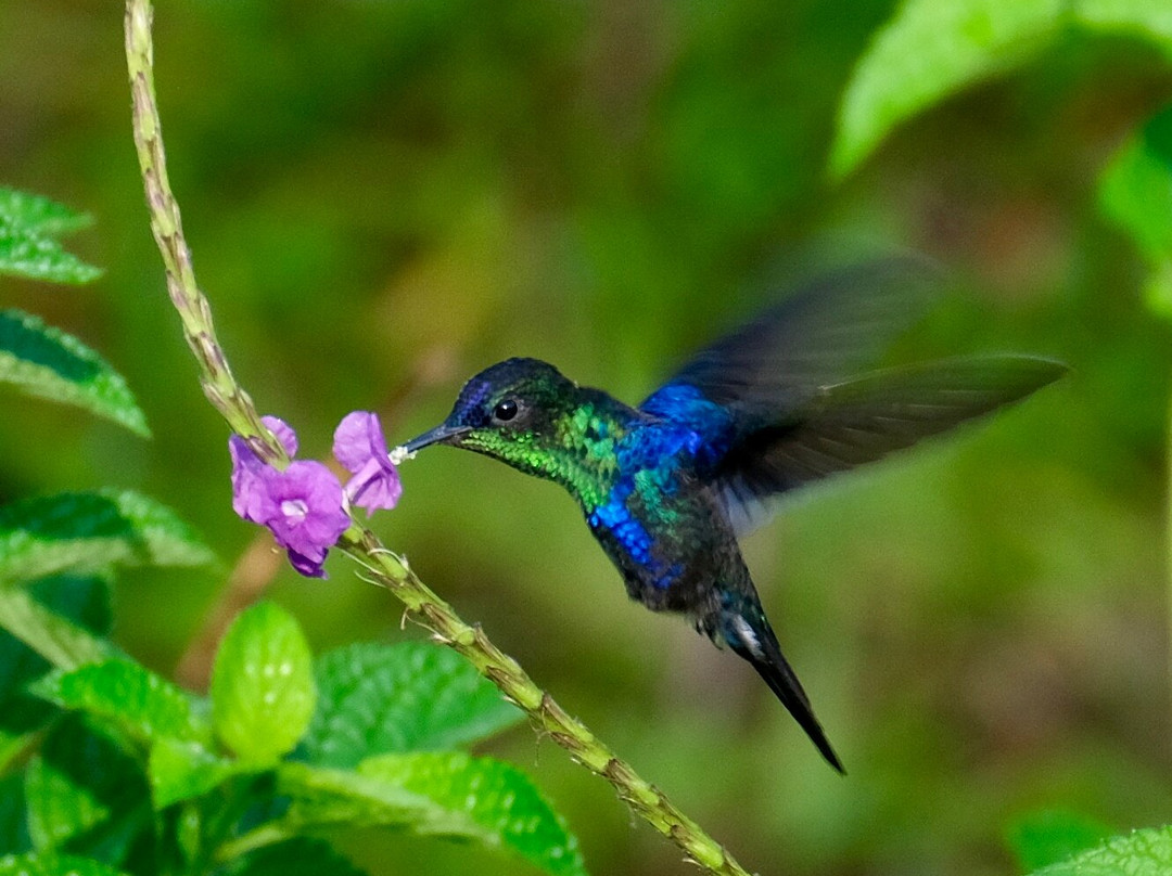 0S3 Private Tours-哈科必去景点