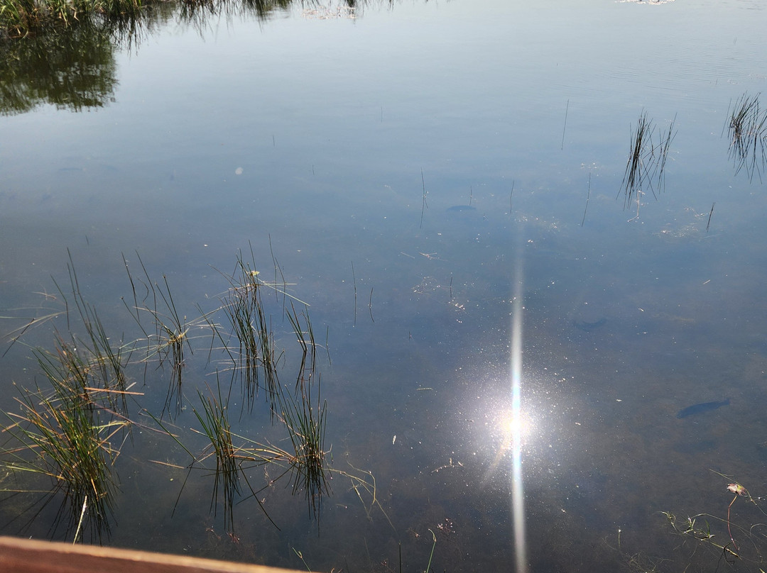 Mela Luxury Game Lodge主图