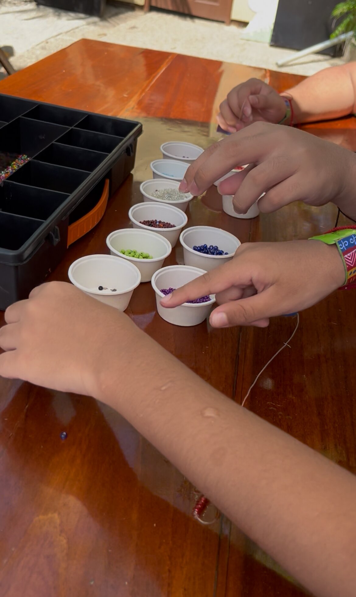 Mayan Palace Mazatlán-官方