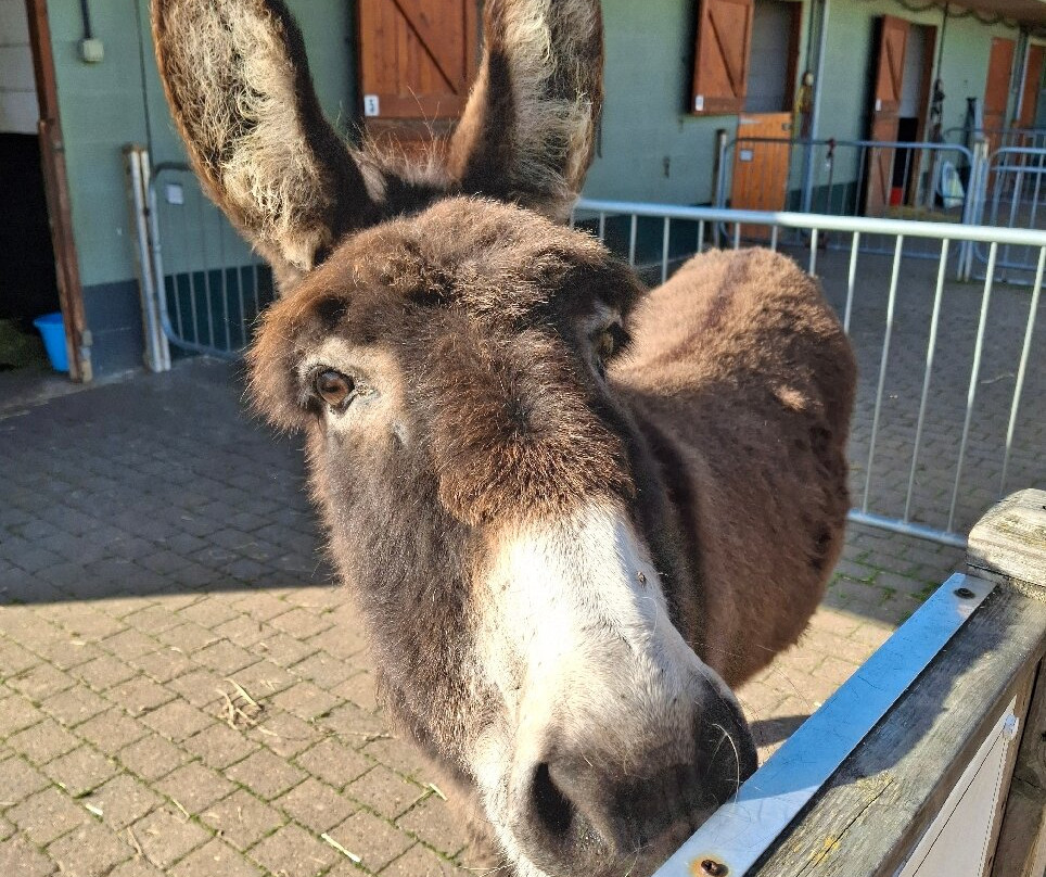 The Wonkey Donkey Visitors Centre-Knottingley必去景点
