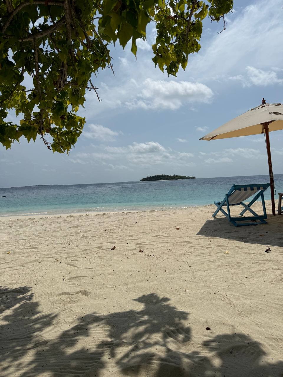 Dhoani Maldives Guesthouse-泳池