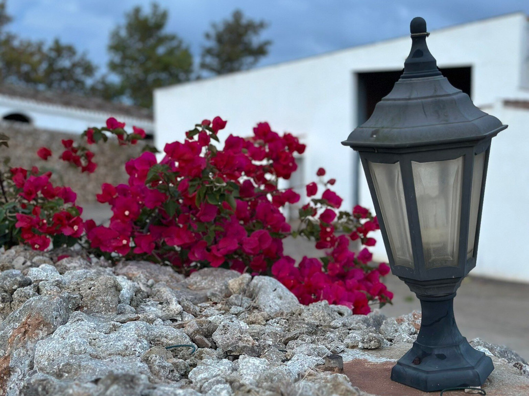 Agroturismo Llucasaldent Gran Menorca主图