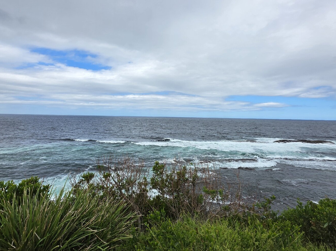 Warden Head Light-阿勒达拉必去景点
