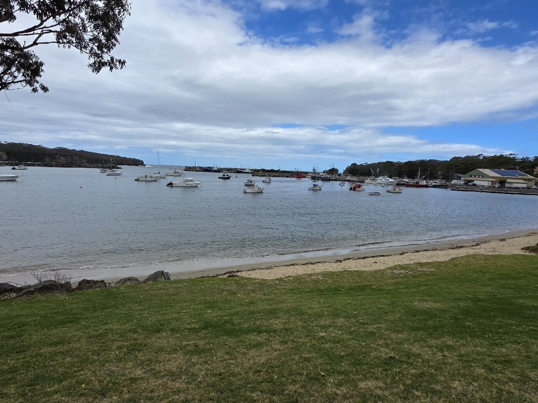 Ulladulla Harbour-阿勒达拉必去景点