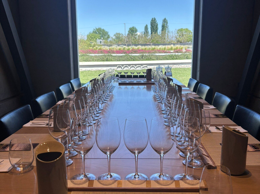 Vina Cobos-路冉得库约必去景点