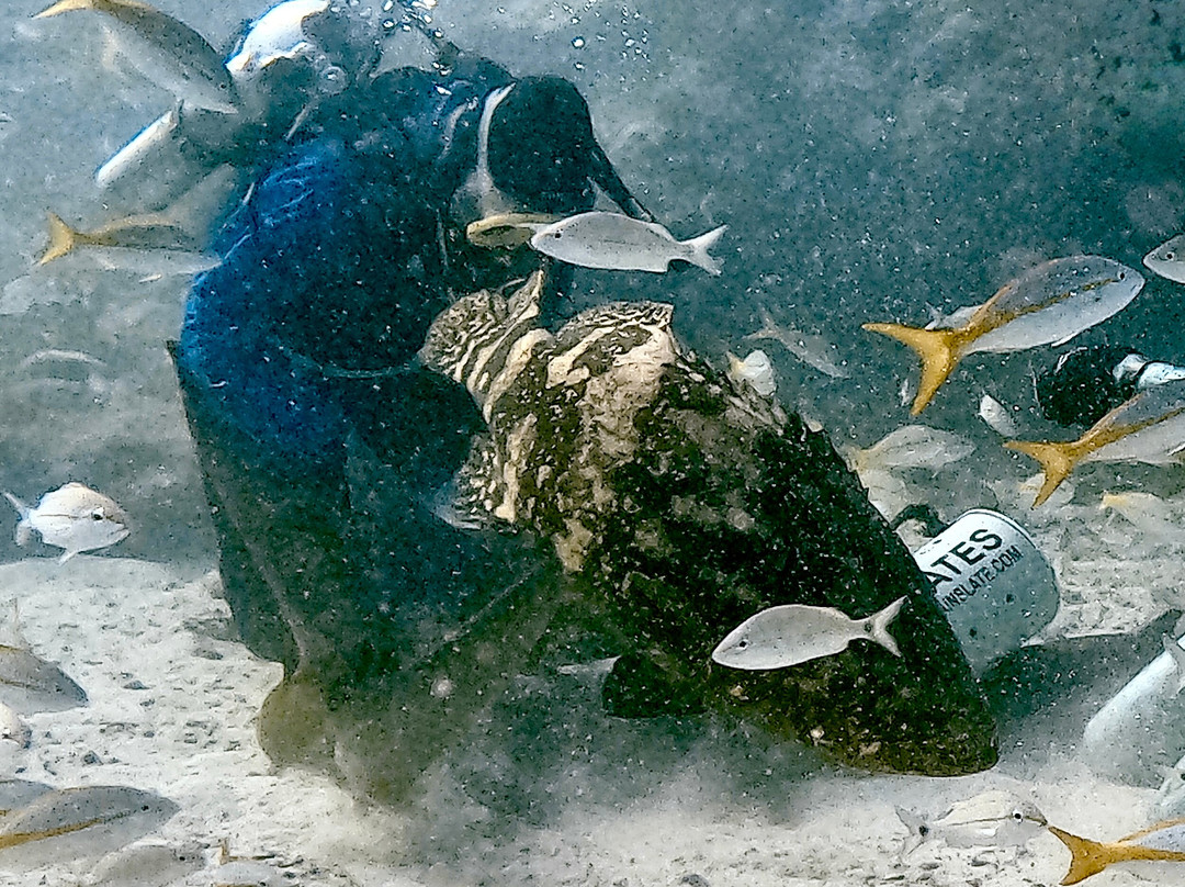 Captain Slate's SCUBA Adventures-Tavernier必去景点