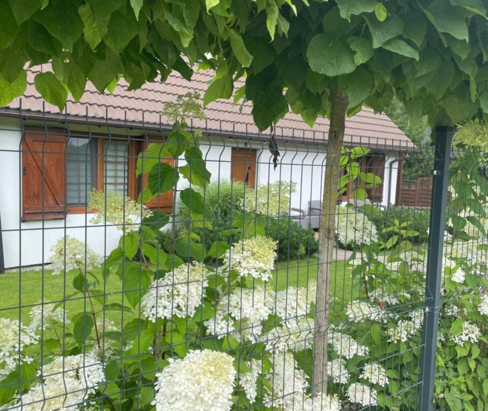 Apartamenty Buczyna