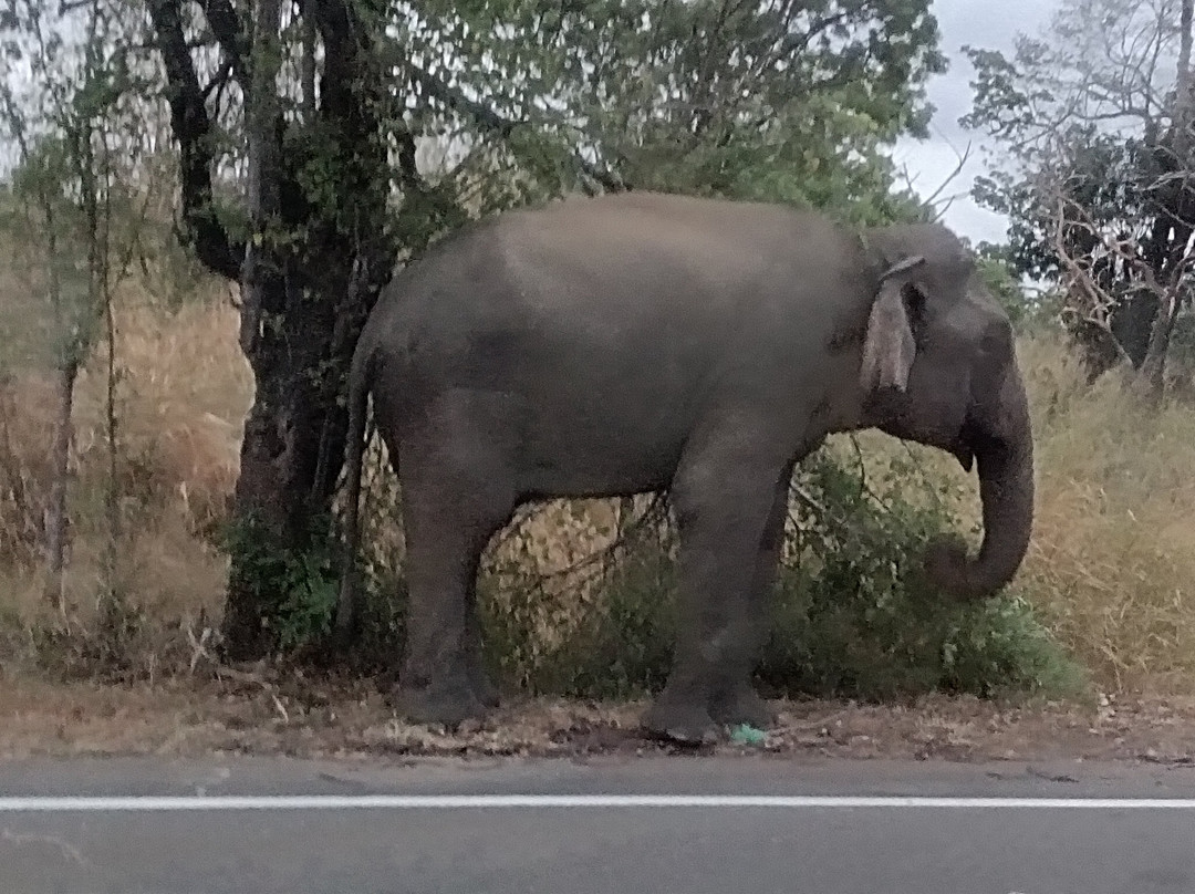 Lets See Lanka-Melsiripura必去景点