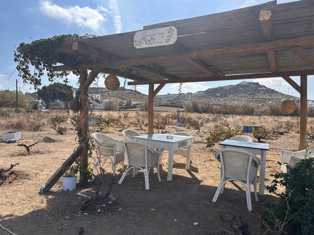 Mykonos Vioma Organic Farm-阿诺梅拉村必去景点