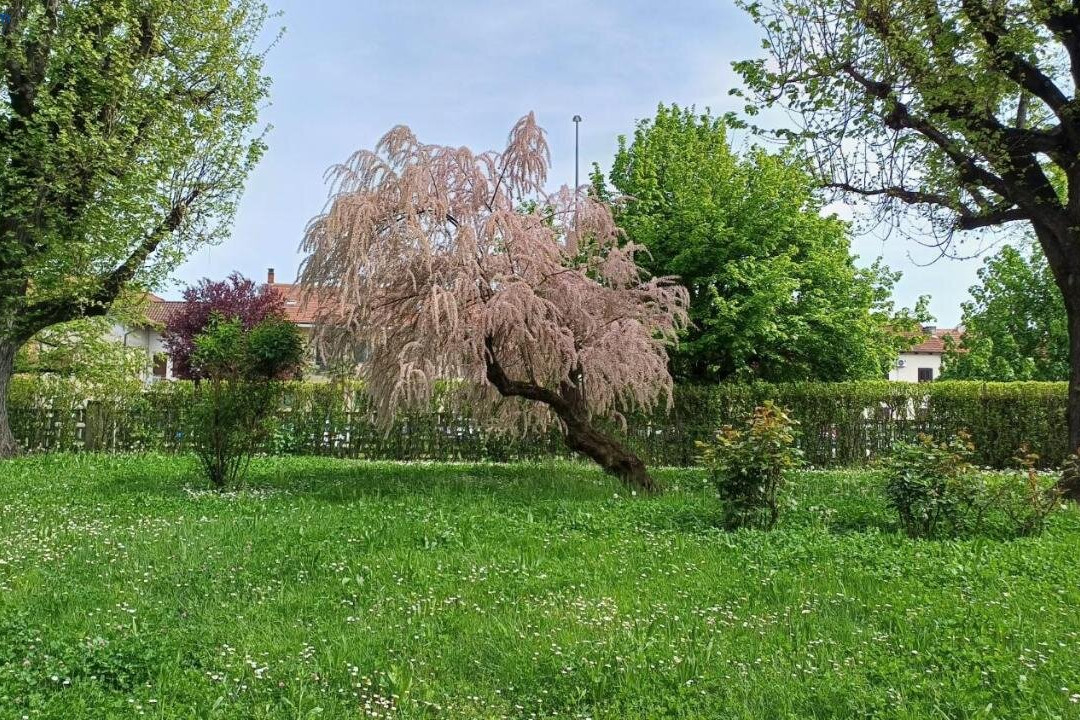 La Casa Nel Parco