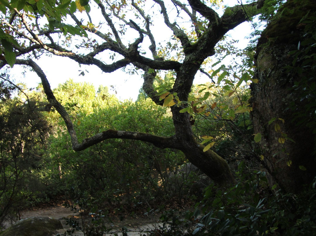 Convento dos Capuchos-科拉雷斯必去景点