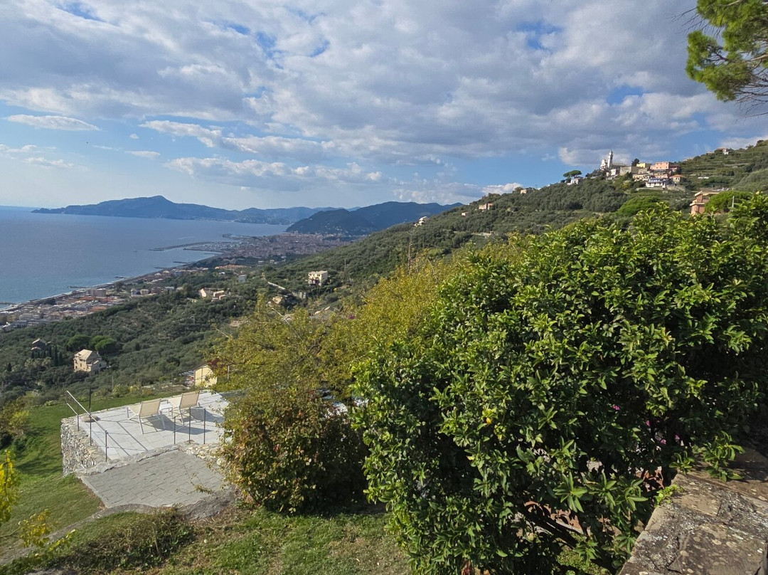 OliVenere Agriturismo主图