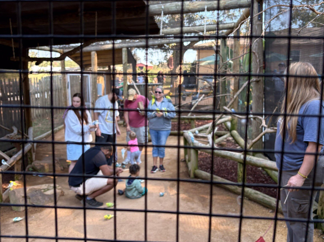 Lake Hartwell Wildlife Safari-Hartwell必去景点