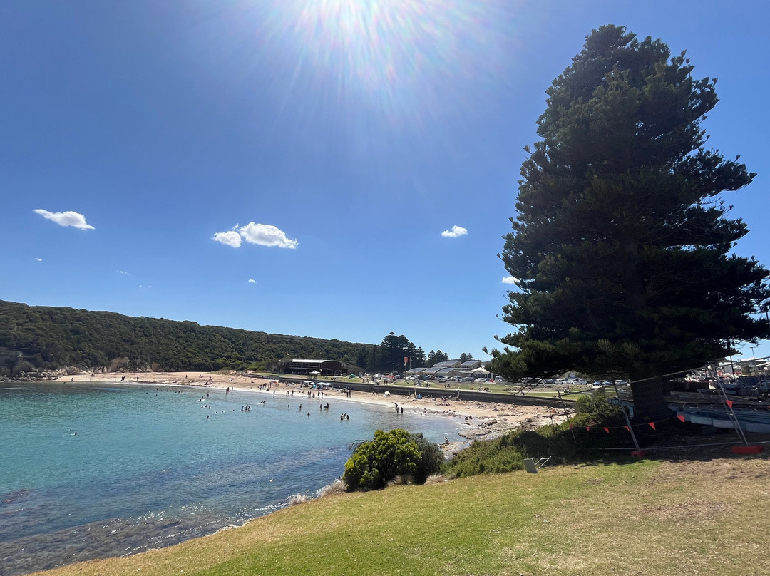 Port Campbell precinct and foreshore-坎贝尔港必去景点