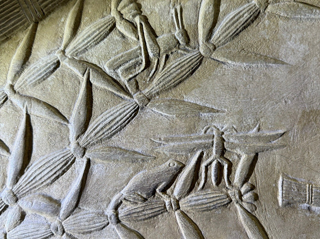 Niankhkhnum and Khnumhotep's Mastaba-Saqqara必去景点