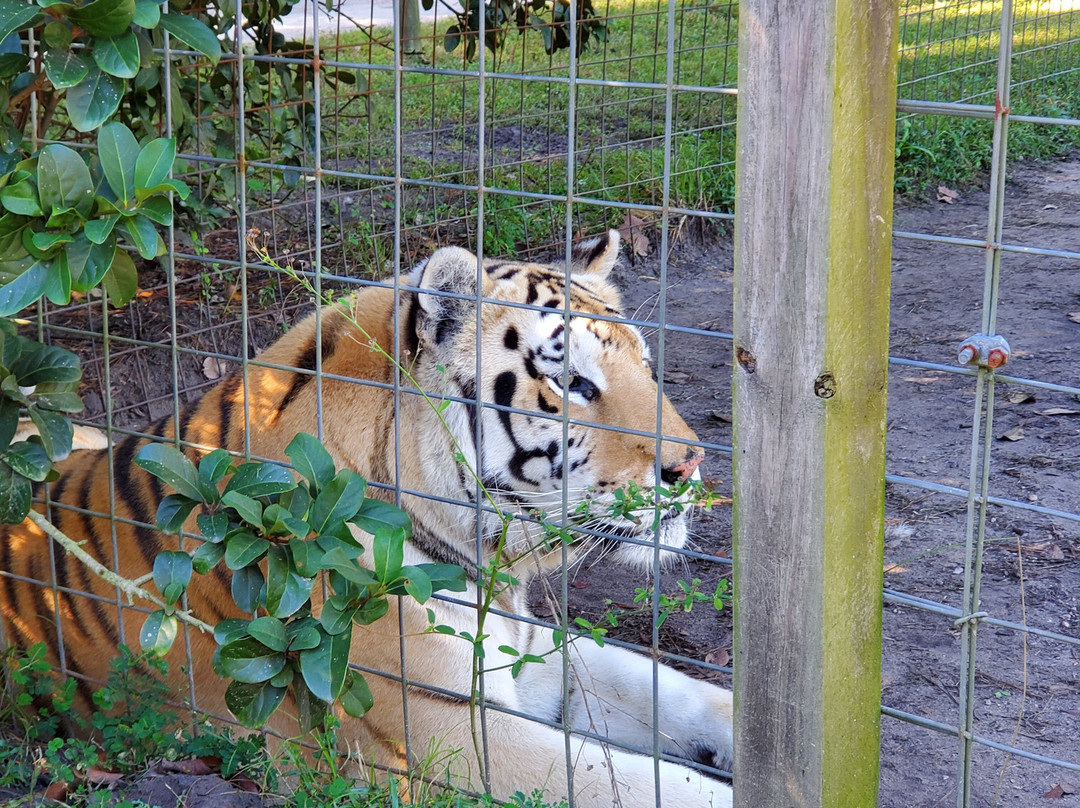 Carson Springs Wildlife Conservation Foundation-盖恩斯维尔必去景点
