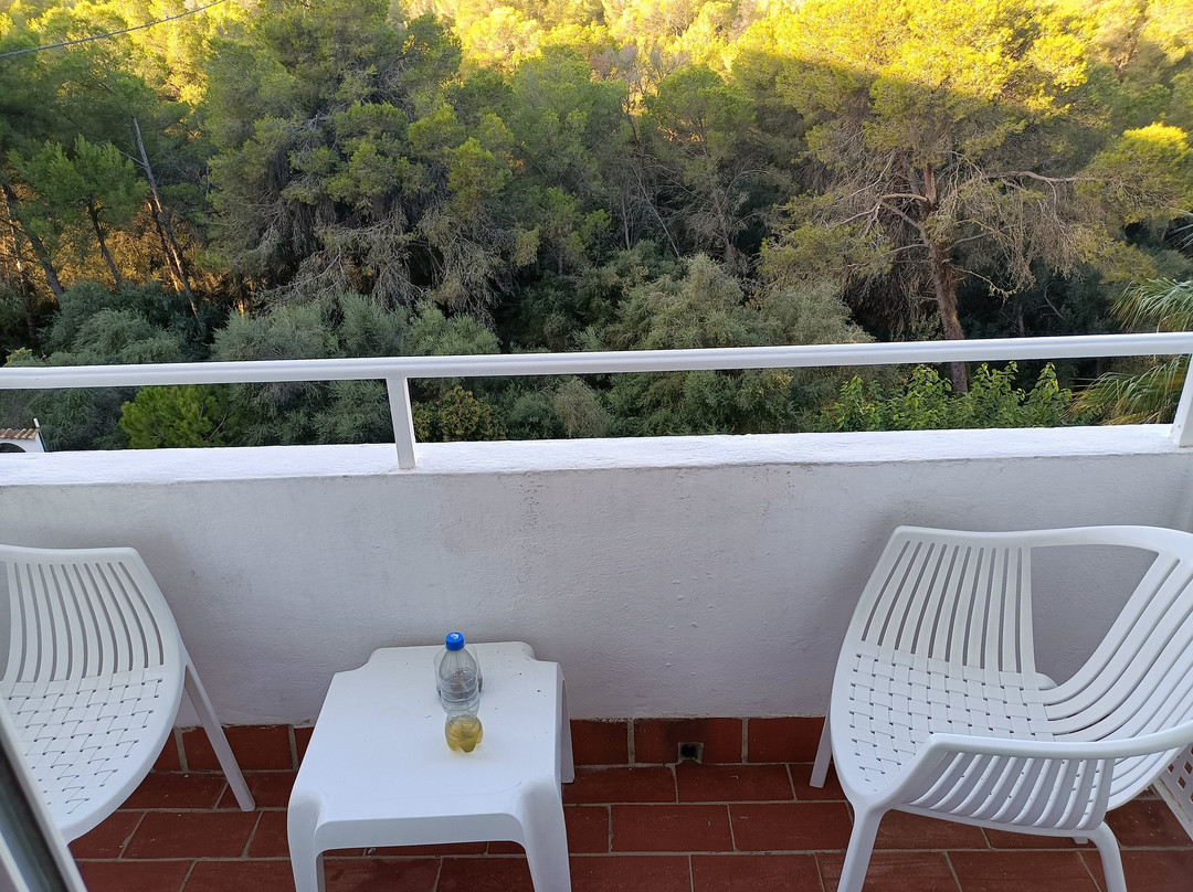 马瑙斯酒店主图