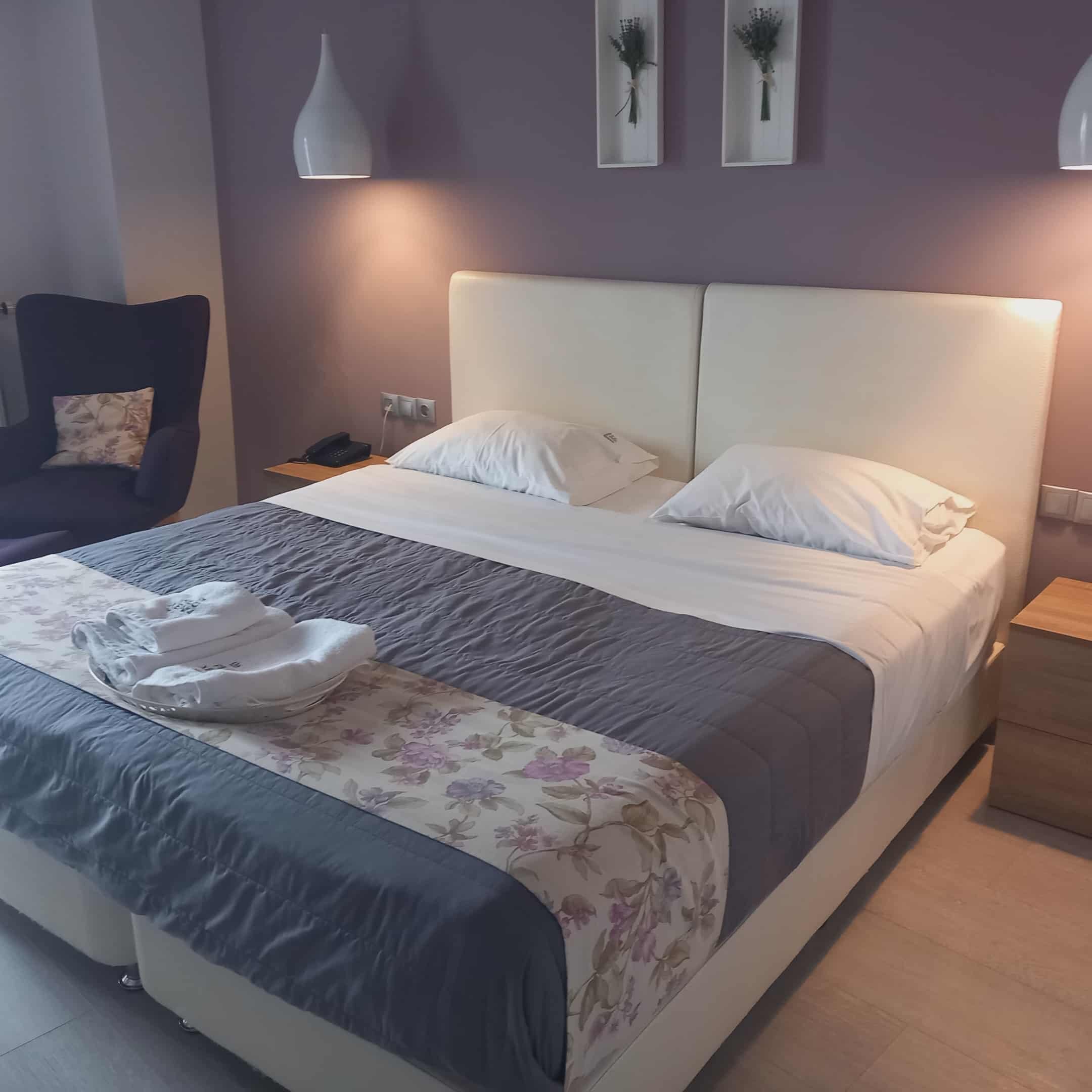 Filoxenia Hotel & Spa-客卧