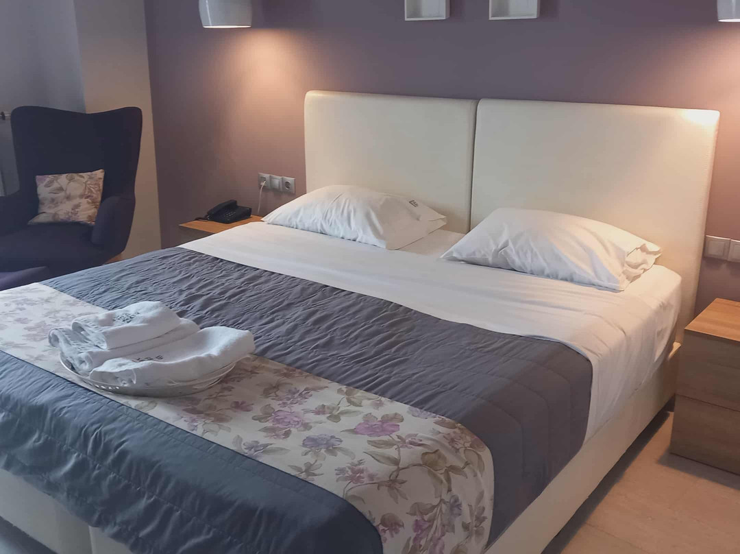 Filoxenia Hotel & Spa主图