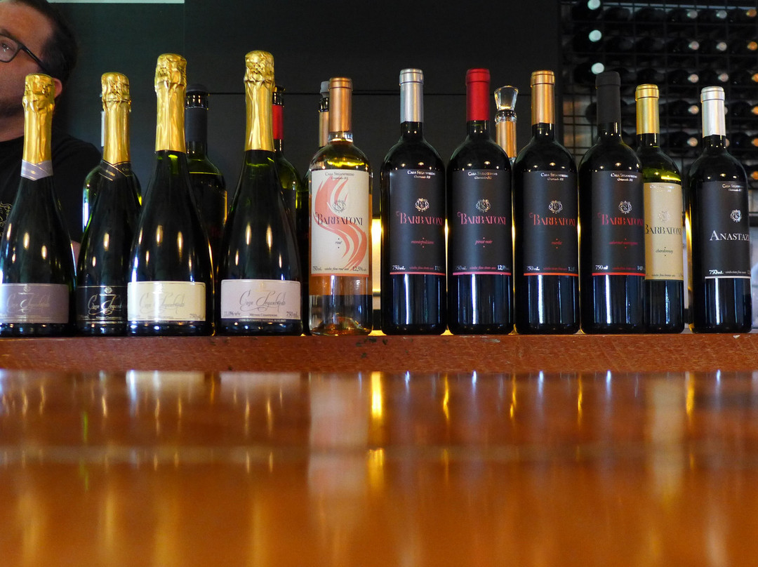 Casa Seganfredo-格拉玛多必去景点