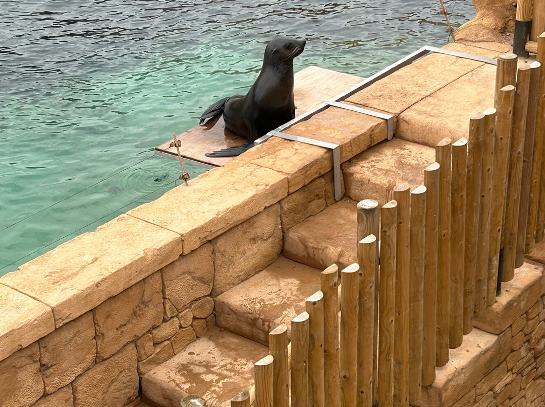 Flamingo Land Resort-Kirby Misperton必去景点