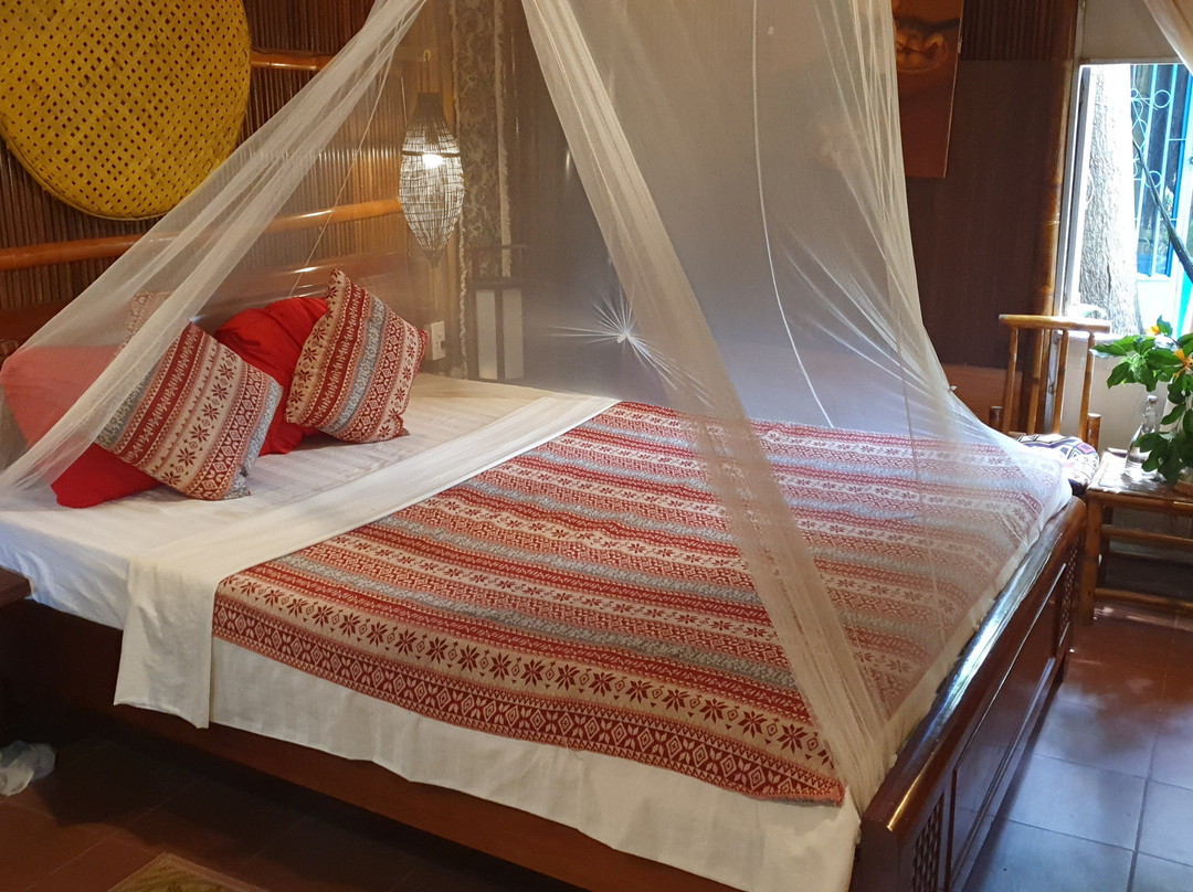 会安椰子树下民宿主图