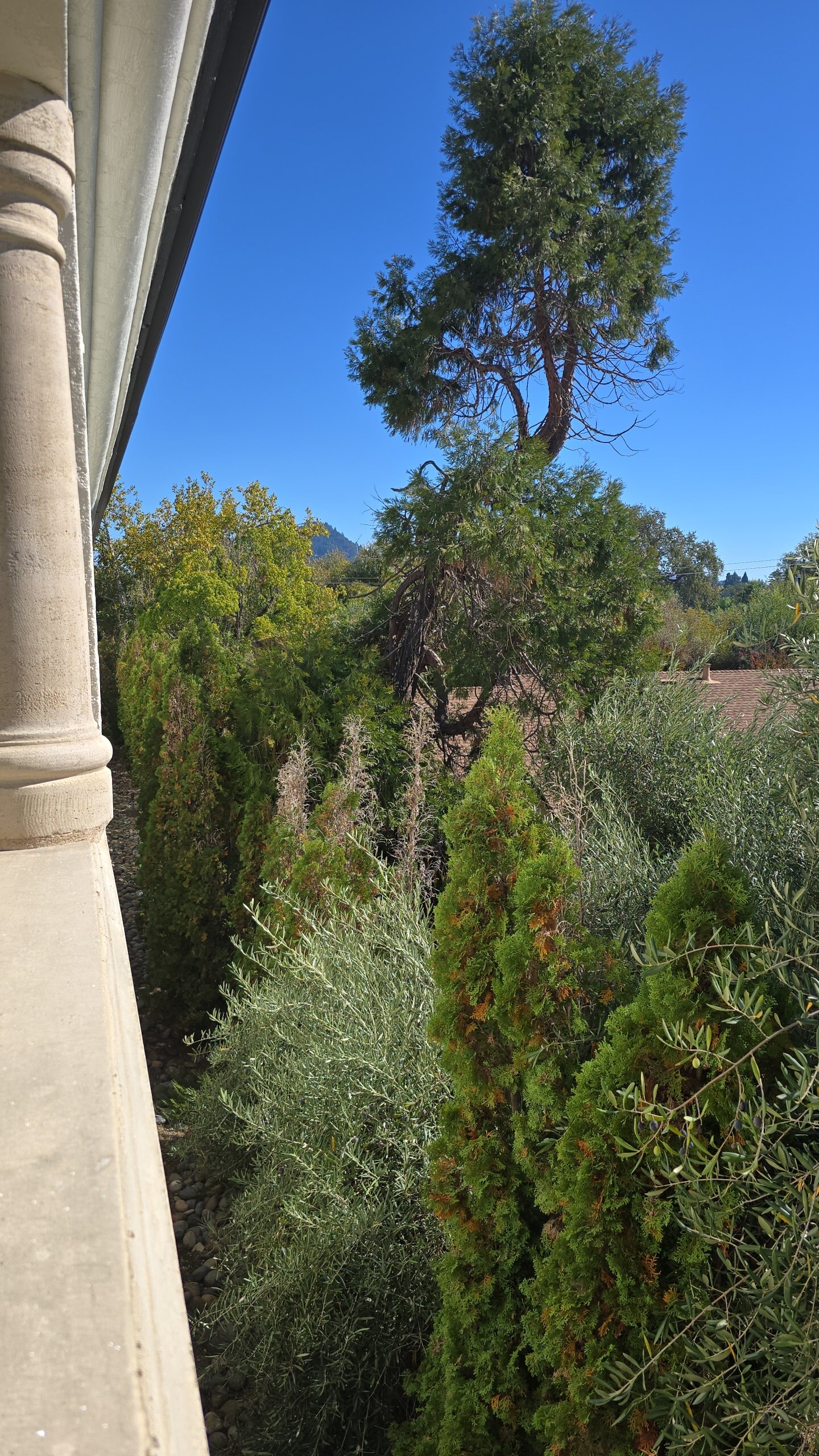 The Lodge at Healdsburg, Tapestry Collection by Hilton-官方