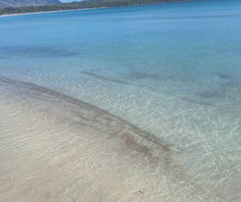 Spiaggia Bianca-Golfo Aranci必去景点