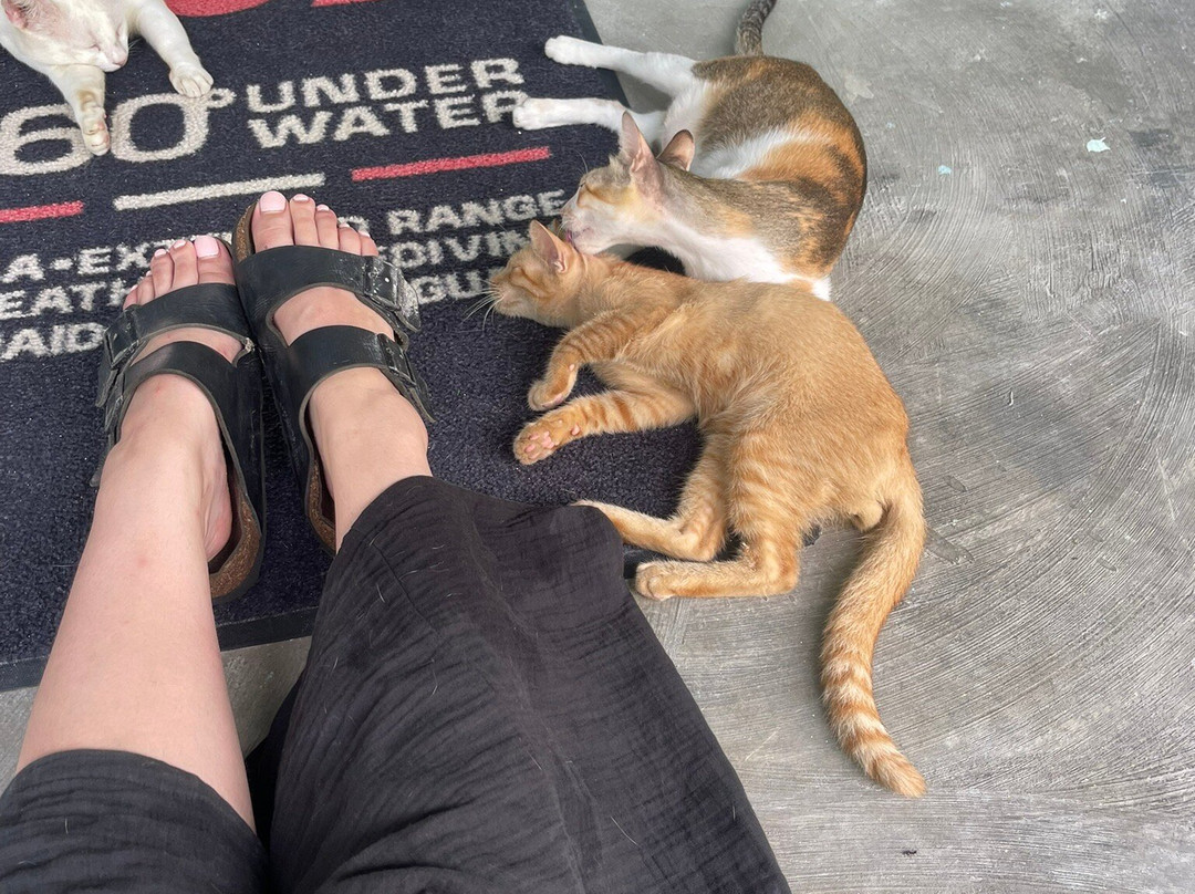 Amphibuzz Dive-Thulusdhoo Island必去景点