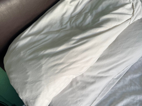 布鲁内尔酒店主图