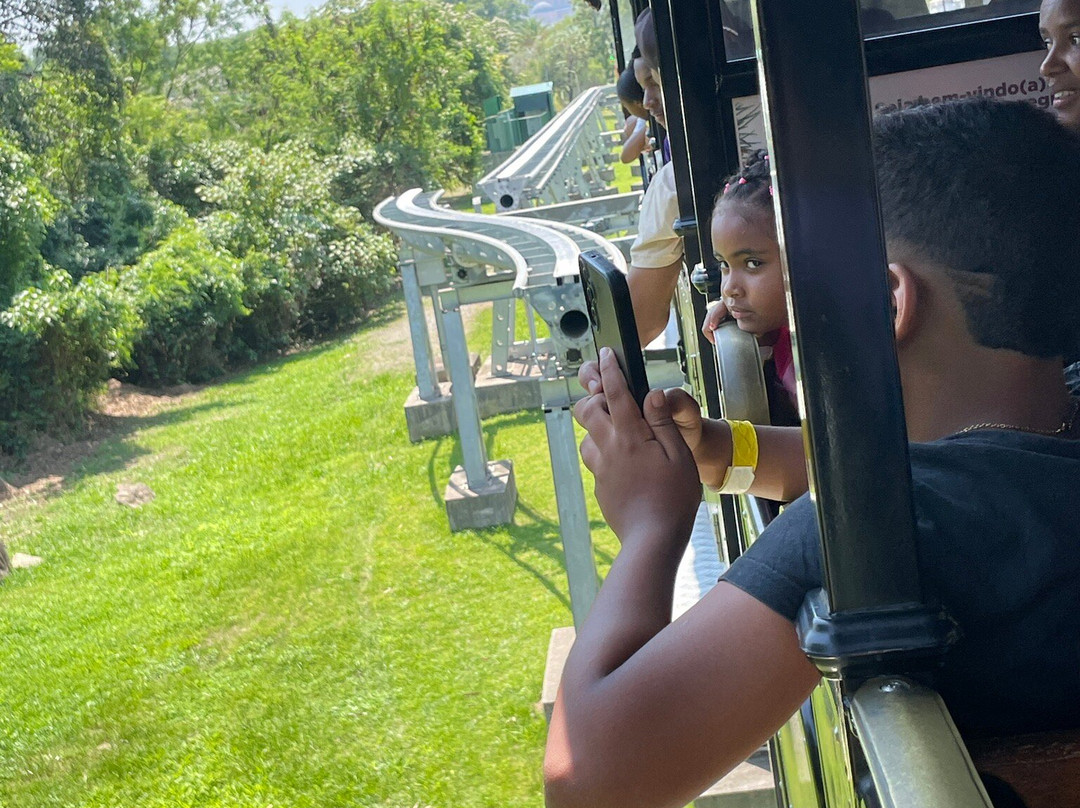 Trem Do Devoto-阿帕雷西达必去景点