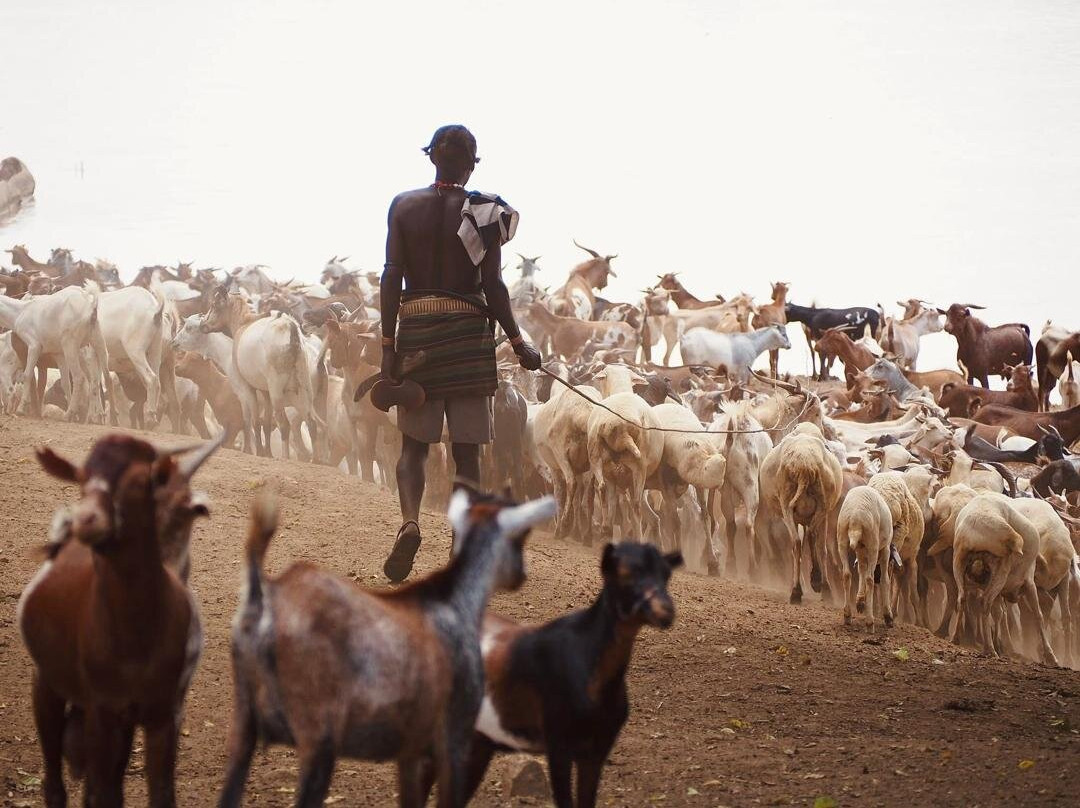 Enat Ethiopia Tours & Travel-亚的斯亚贝巴必去景点