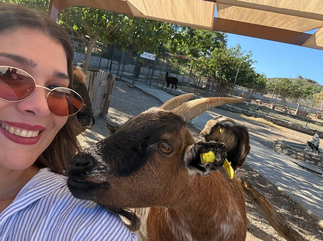 Farma of Rhodes Petting Zoo-罗德斯必去景点