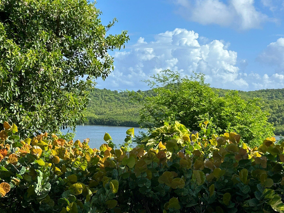 Hotel Plein Soleil主图