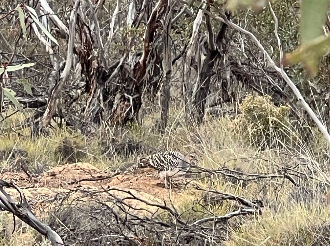 Australian Geographic Travel-悉尼必去景点