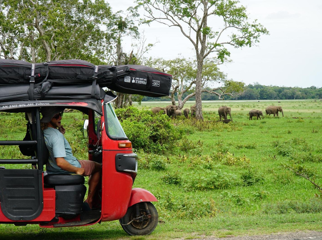 Tuk Tuk Rental Negombo-尼甘布必去景点