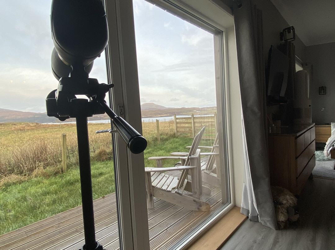 Papillon Bed and Breakfast主图