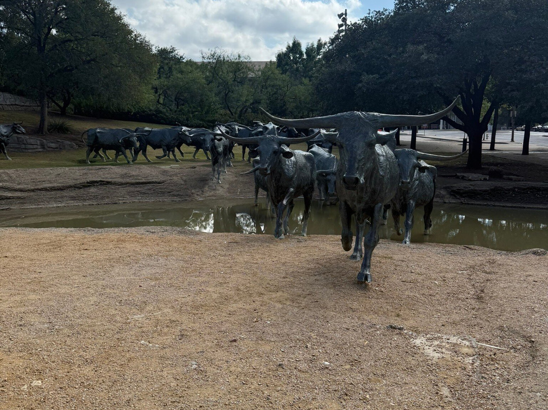 Dallas Cattle Drive Sculptures-达拉斯必去景点