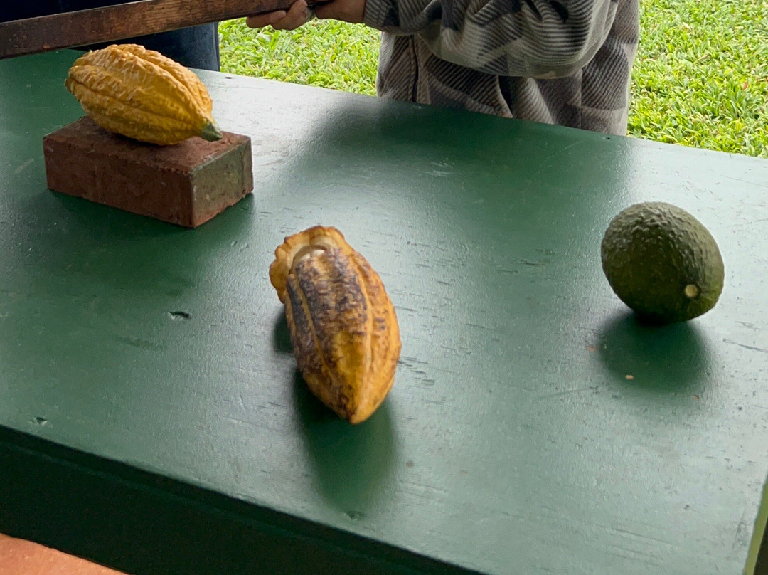 Houlau Farm Chocolate