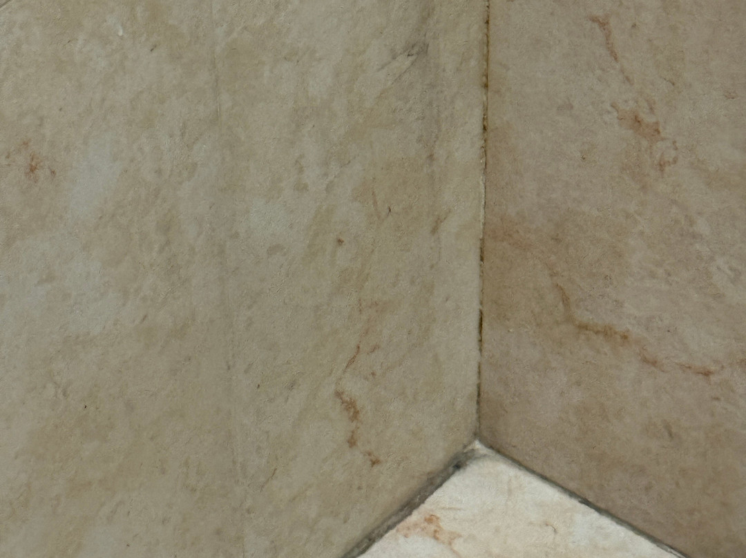 费斯塔客栈酒店主图