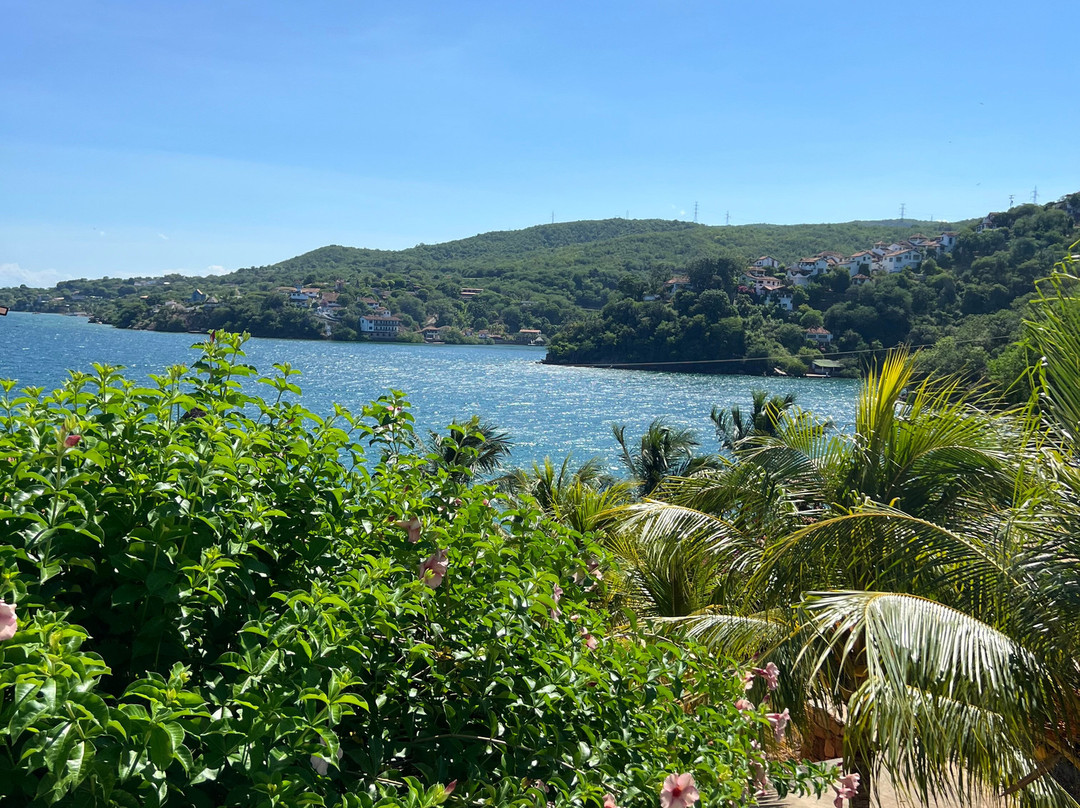 Punta del Caribe主图