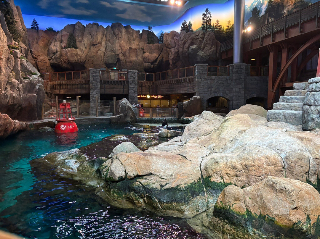 SeaWorld Yas Island Abu Dhabi-阿布扎比必去景点