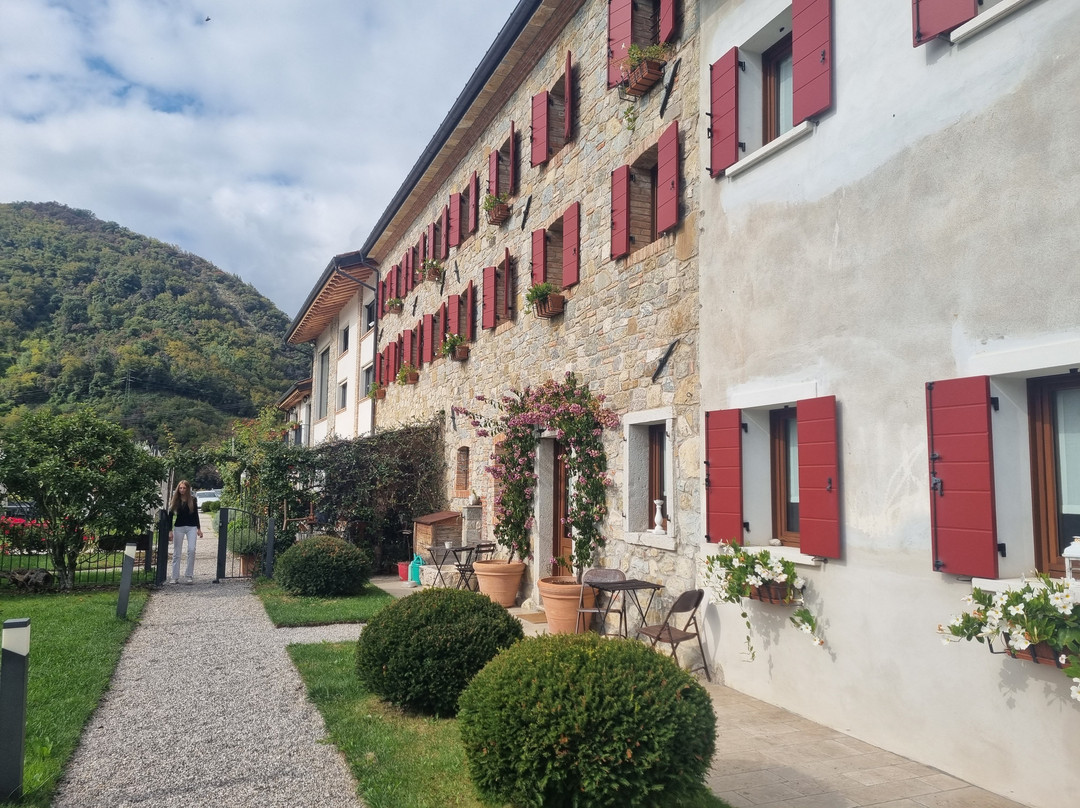 Azienda Agricola Ca' Piadera主图