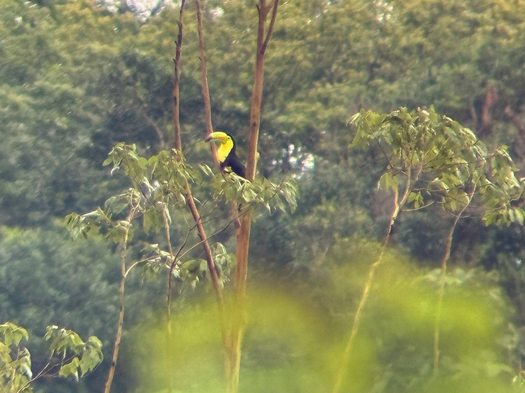 Sebastians unique tours costa Rica-Playa Panama必去景点