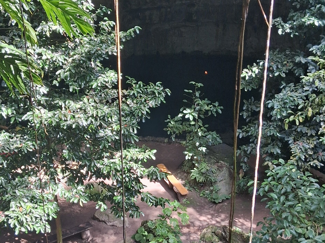 Cenote SAC-AUA-巴利亚多利德必去景点