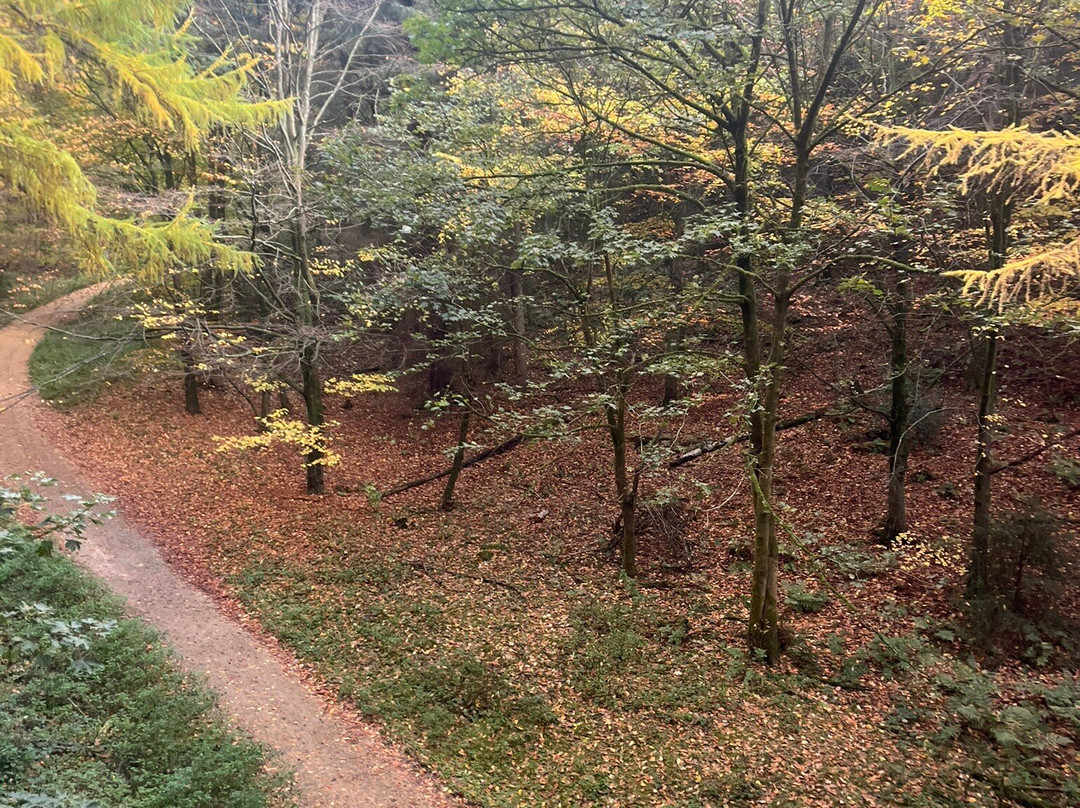 Go Ape Dalby-Thornton-Le-Dale必去景点