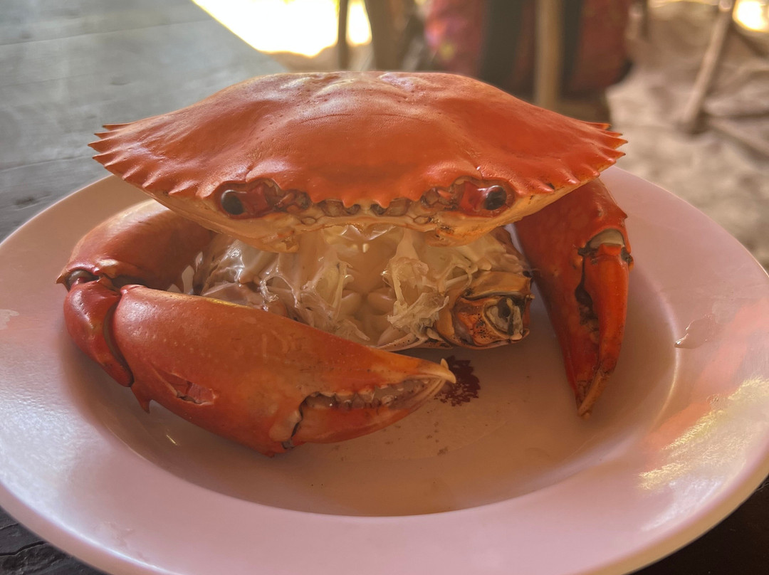 Safari Kenya roberto toba-瓦塔木必去景点