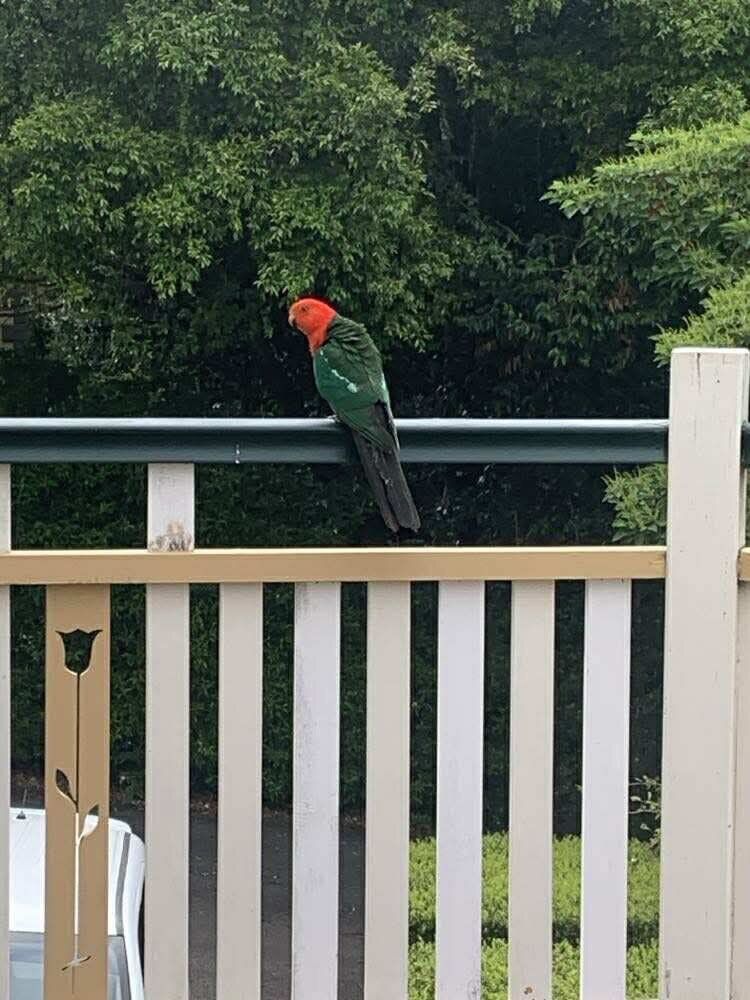 The Falls Montville-官方