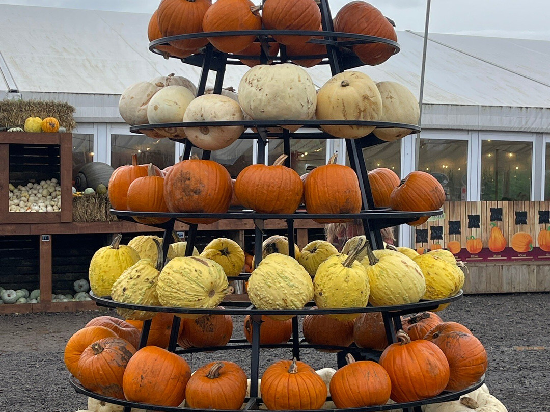 Avon Valley Adventure Park-Keynsham必去景点